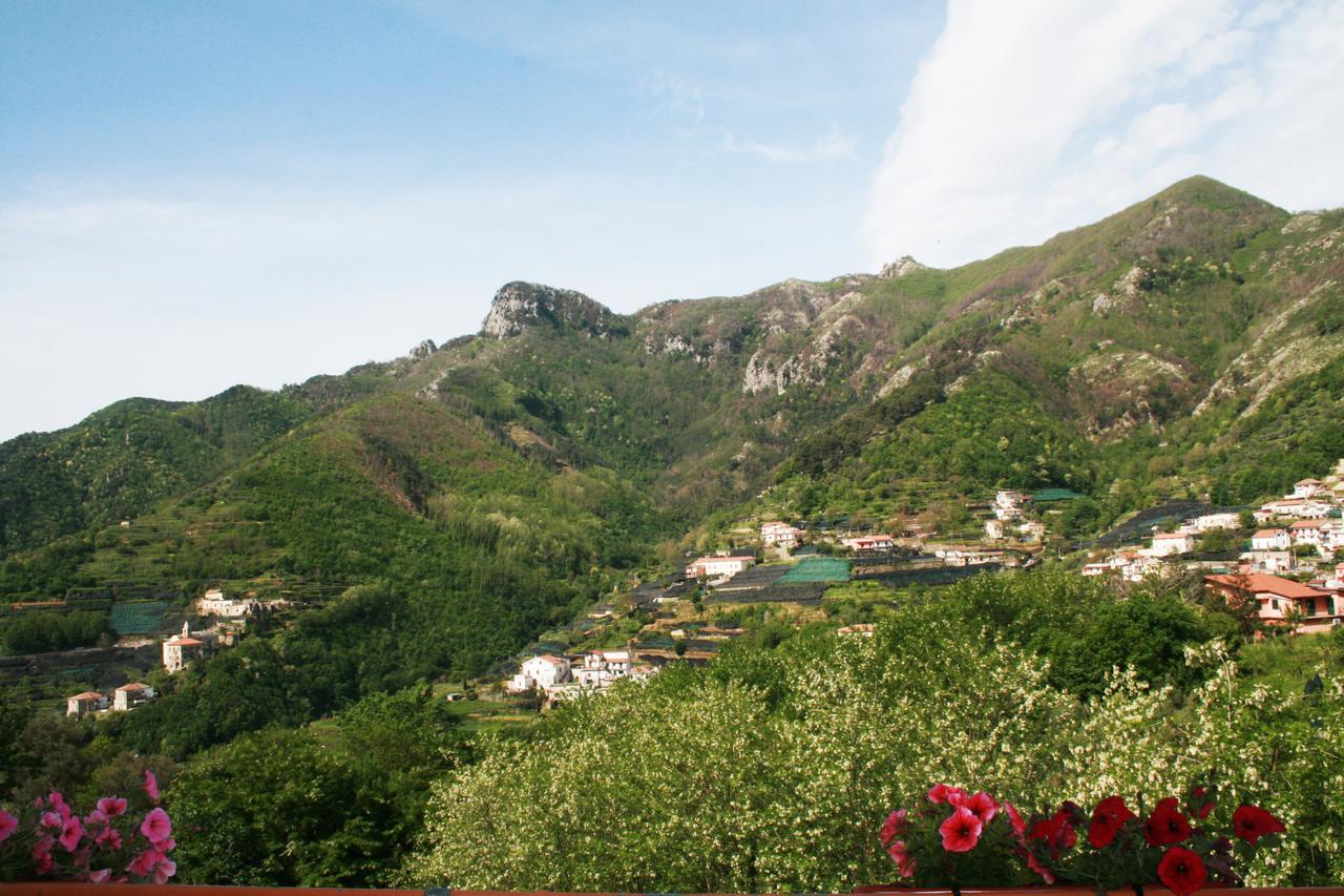 特拉蒙蒂Tra I Monti住宿加早餐旅馆 外观 照片